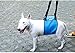 Dog Lift Harness - Support Sling Helps Dogs With Weak Front or Rear Legs Stand Up, Walk, Get Into Cars, Climb Stairs. Best Alternative to Dog Wheelchair gray-S