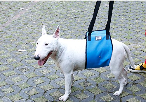 Dog Lift Harness - Support Sling Helps Dogs with Weak Front or Rear Legs Stand Up, Walk, Get Into Cars, Climb Stairs. Best Alternative to Dog Wheelchair - Gray - S
