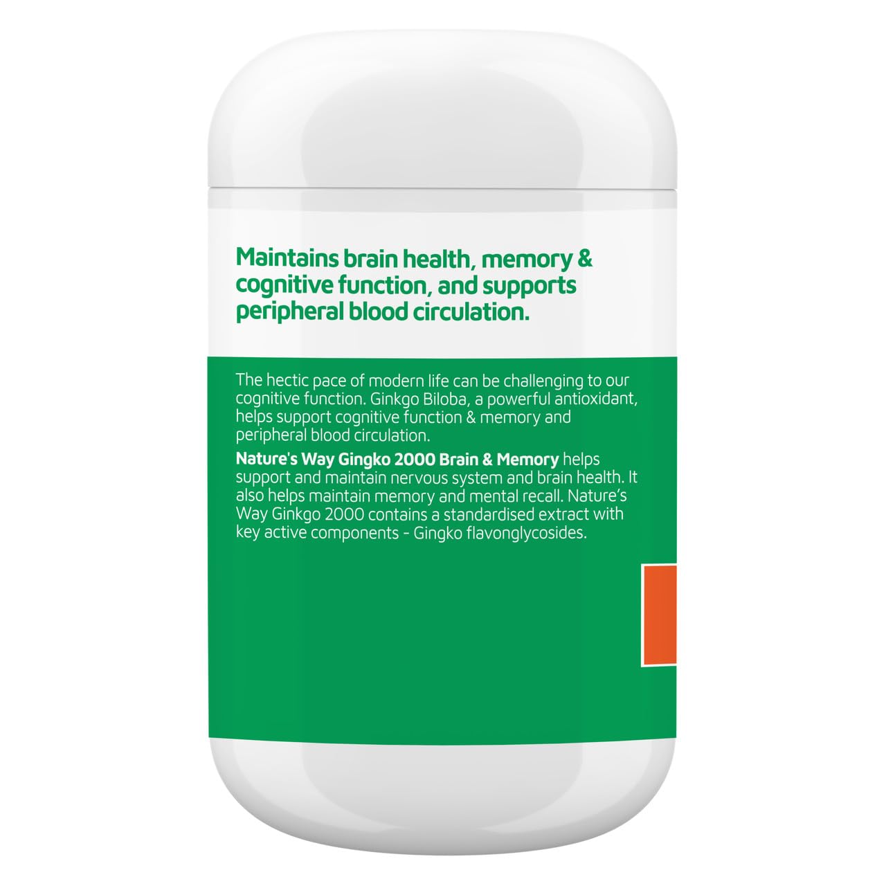 Nature's Way Ginkgo Biloba 2000MG 100+20 Tablets