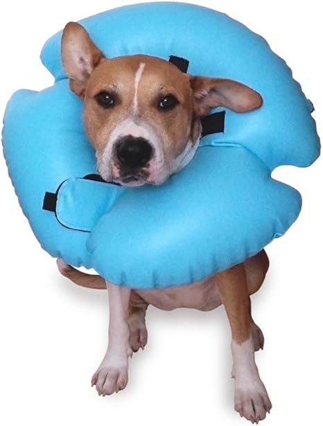 remedy recovery collars