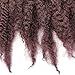 Carina 3 Bundles Afro Kinkys Curly Hair Extensions Long Afro Kinky Marley Twist Braiding Hair For Women And Girl (18 inch, 33#)