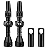BWSHLF Tubeless Presta Valve Stem