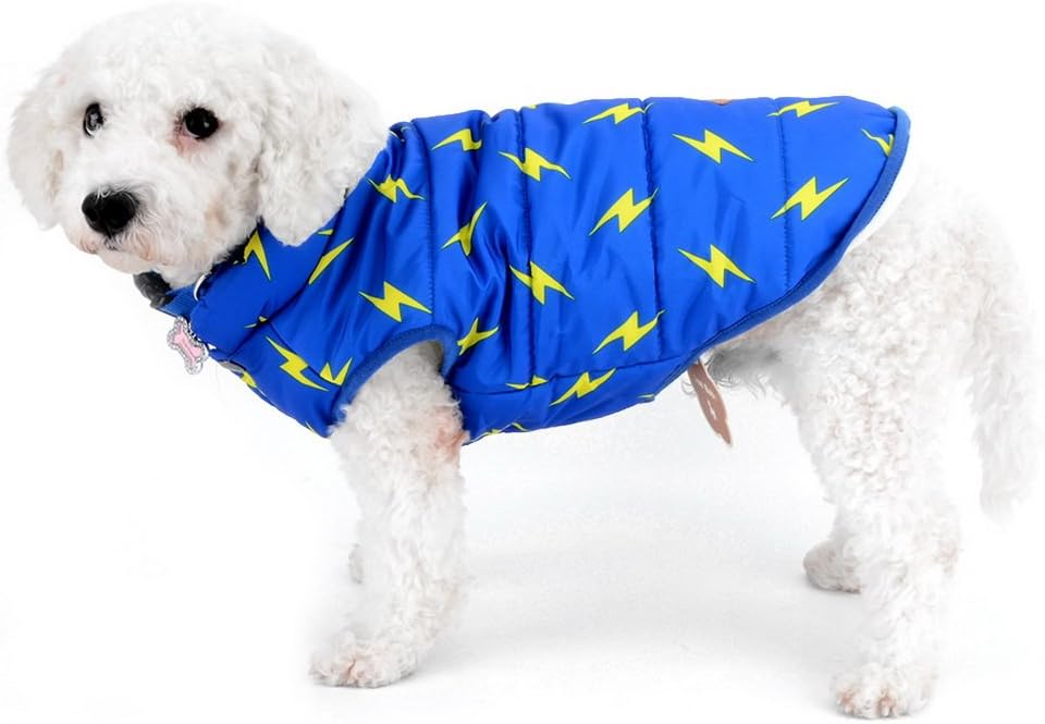 lightning jacket for dogs
