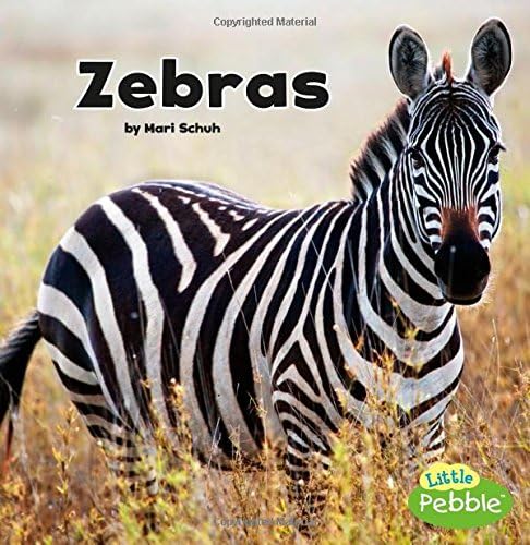 Zebras (Black and White Animals)