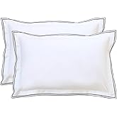 RANZNAZ Set of 2 Elegant Embroidery Pillowcases, King Size, 100% Cotton - White Good Feeling Shams, Elegant Trims, Softer and Breathable Pillow Covers, 20x36 inches