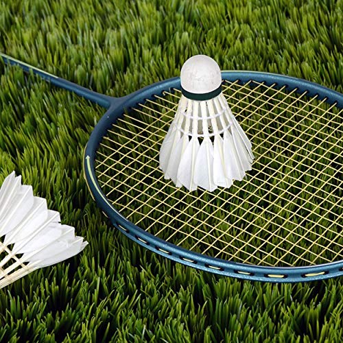 Badminton,3 x Training White Duck Feathers Badminton Shuttlecocks Birdies Ball Game Sport Entertainment Product Badminton Balls with Can