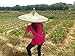 Sunny Hill China Guangdong Local Characteristics Hand-Woven Large Conical Hats Sun Hat 20.5 Inch