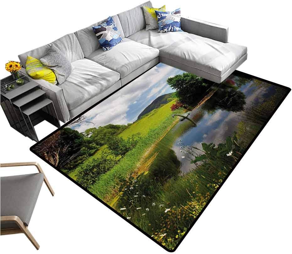 Nature Bedroom Carpet Lake by Meadow in a Sunny Day Rural Country Valley Scottish Summertime Landscape Rugs Mat for Living Room Bedroom Multicolor (6'x8')
