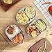 Arderlive Bento Lunch Box With portable utensils, 2- Sealed Compartment Leakproof Stainless Steel Lunch Container For Kids Or Adults, Bpa-Free(Pink)