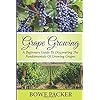Grape Growing: A Beginners Guide To Discovering The Fundamentals Of Growing Grapes