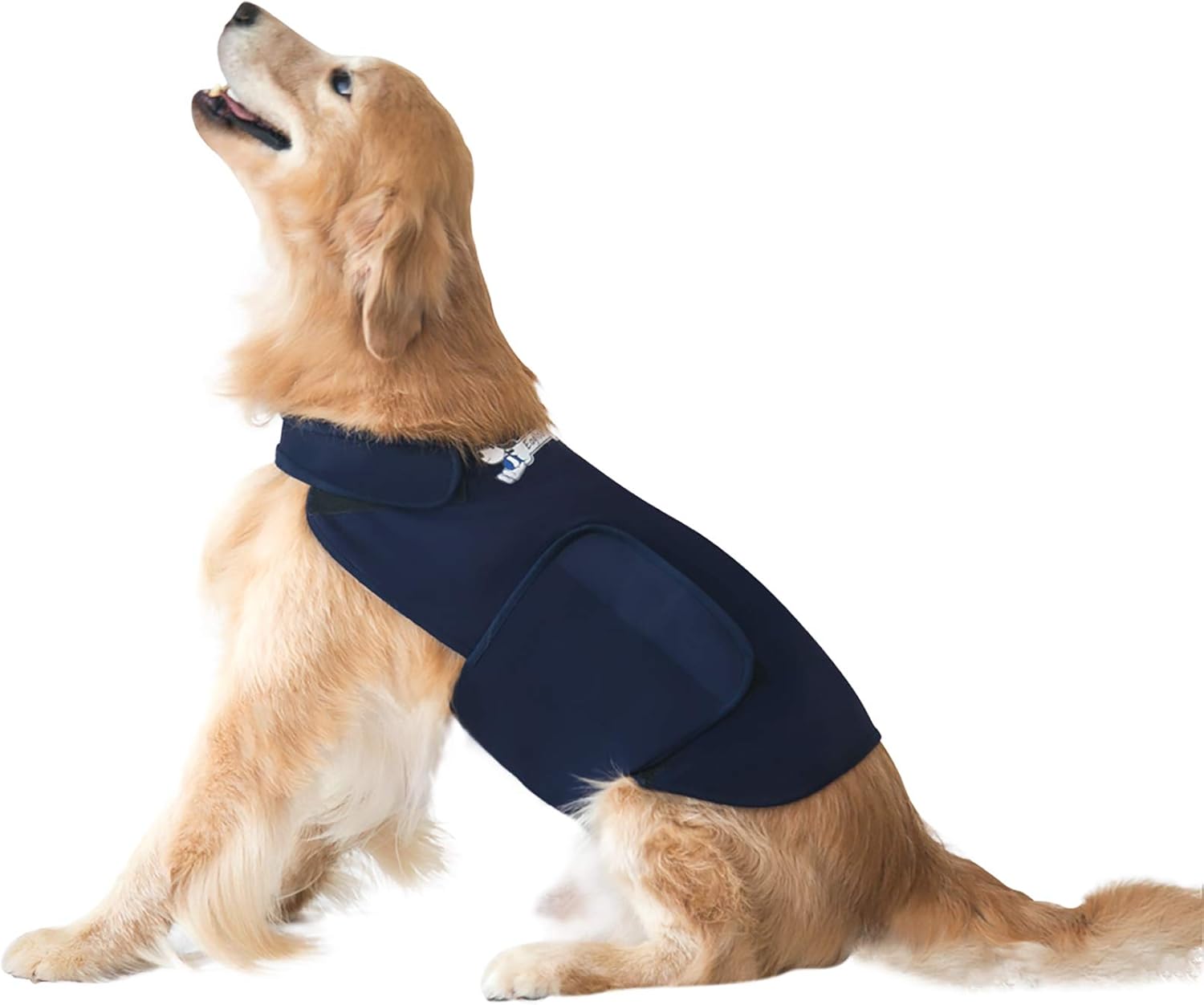 stress shirt for dogs
