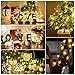 LRCXL Pack of 12 LED Moon Fairy String Lights 20 Micro Starry LEDs on Copper Wire,2 x CR2032 Batteries Included,6.5 Ft (2m) for Party DIY Wedding Centerpiece or Table Decorations (Warm White)