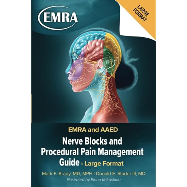 Sacro Occipital Technique Manual: Based on the writings of M. B.