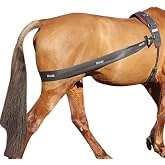Premium Lunging Band for Horse - Equine Hind Quarter Lunging Strap