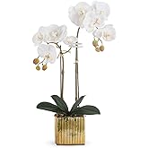 Ziwon Artificial Orchid Flowers Potted in Ceramic Pot, White Faux Phalaenopsis Orchids for Table Centerpiece, Realistic Fake Flower in vase for Home Office Decor Indoor