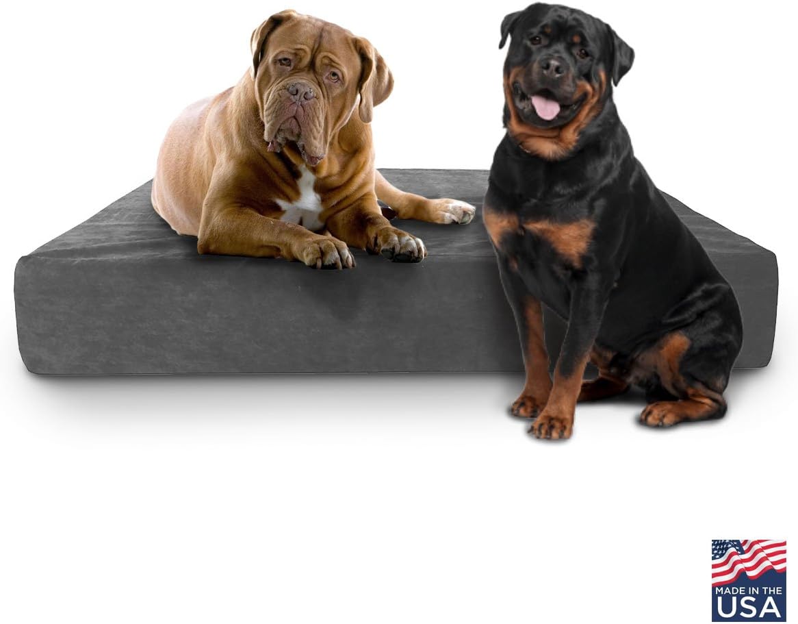 highest rated dog bed