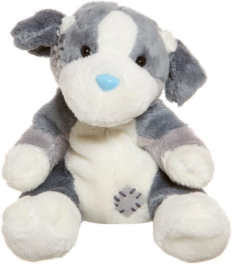 tatty teddy dog
