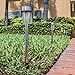 Logical Luxury Decorative Outdoor Solar Garden Lights (10 Pack) enhances Pathways driveways patios and gazebos; Classic Simple Stainless Steel Design; Soft White LED Powered; Water/Weatherproof
