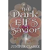 The Dark Elf’s Savior: A Standalone Fantasy Romance (A Land of Gods & Monsters)