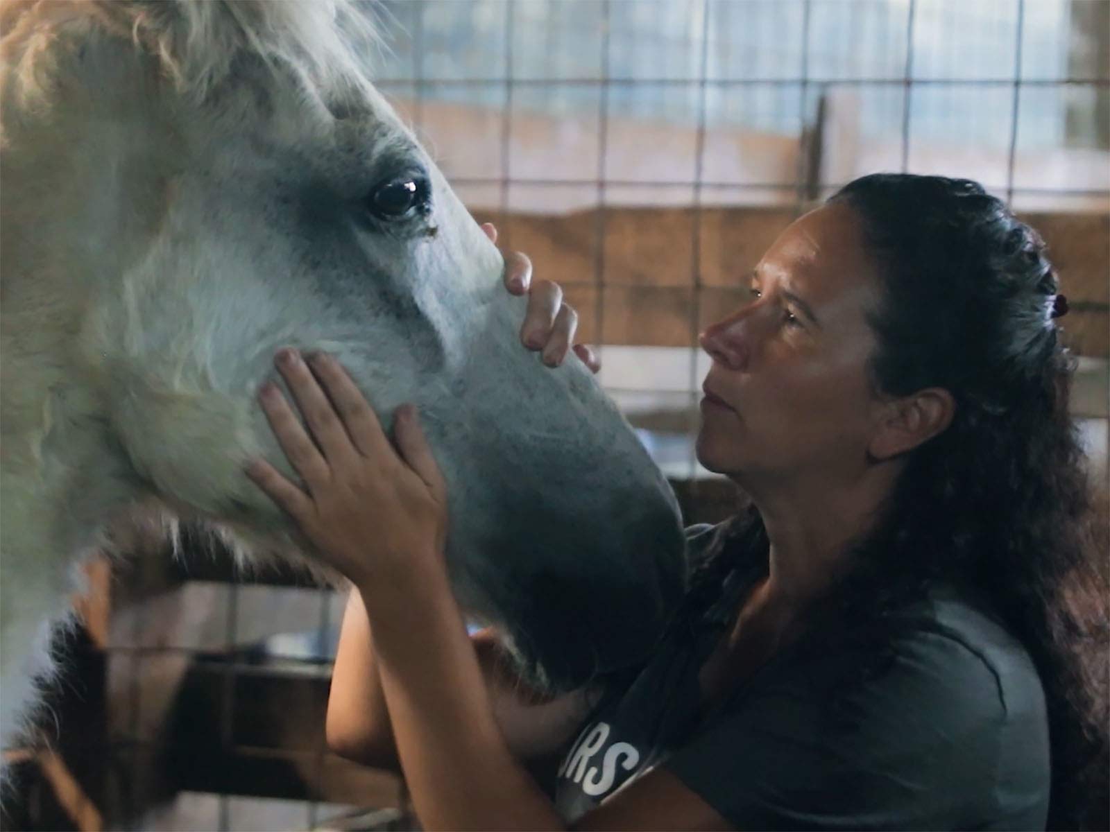 Watch Horse Rescue Heroes Prime Video