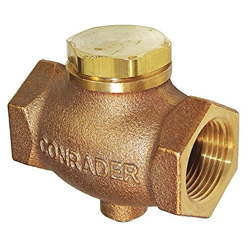 Check Valve, 3/4 in.: Amazon.com: Industrial & Scientific