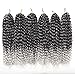 12 Inch Short Passion Twist Hair 6 Bundles Marlybob Kinky Curly Crochet Hair for Black Women Jerry Curly Braiding Hair (6 Bundles 12 Inch, 1B/Gray)