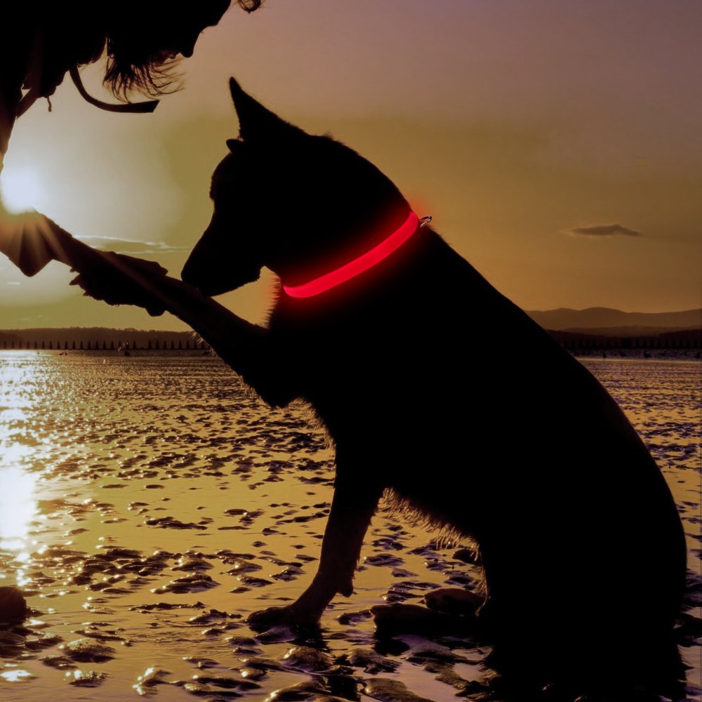 Higo LED Dog Collar,USB Rechargeable,Light Up Adjustable Nylon Fabric Reflective Led Pet Collar (L, Pink)