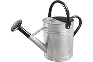 Megawodar 1 Gallon Metal Watering Can with Removable Spout, Nice Galvanized Steel Water Can for Indoor and Outdoor Plants (House Plants)