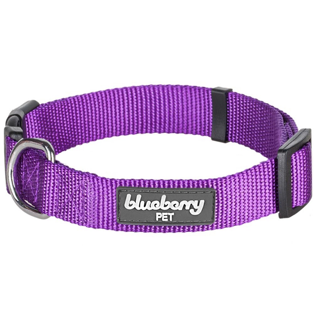 Regular Collection Color Solid Classic Pet Blueberry Collars, Seatbelts or Collars