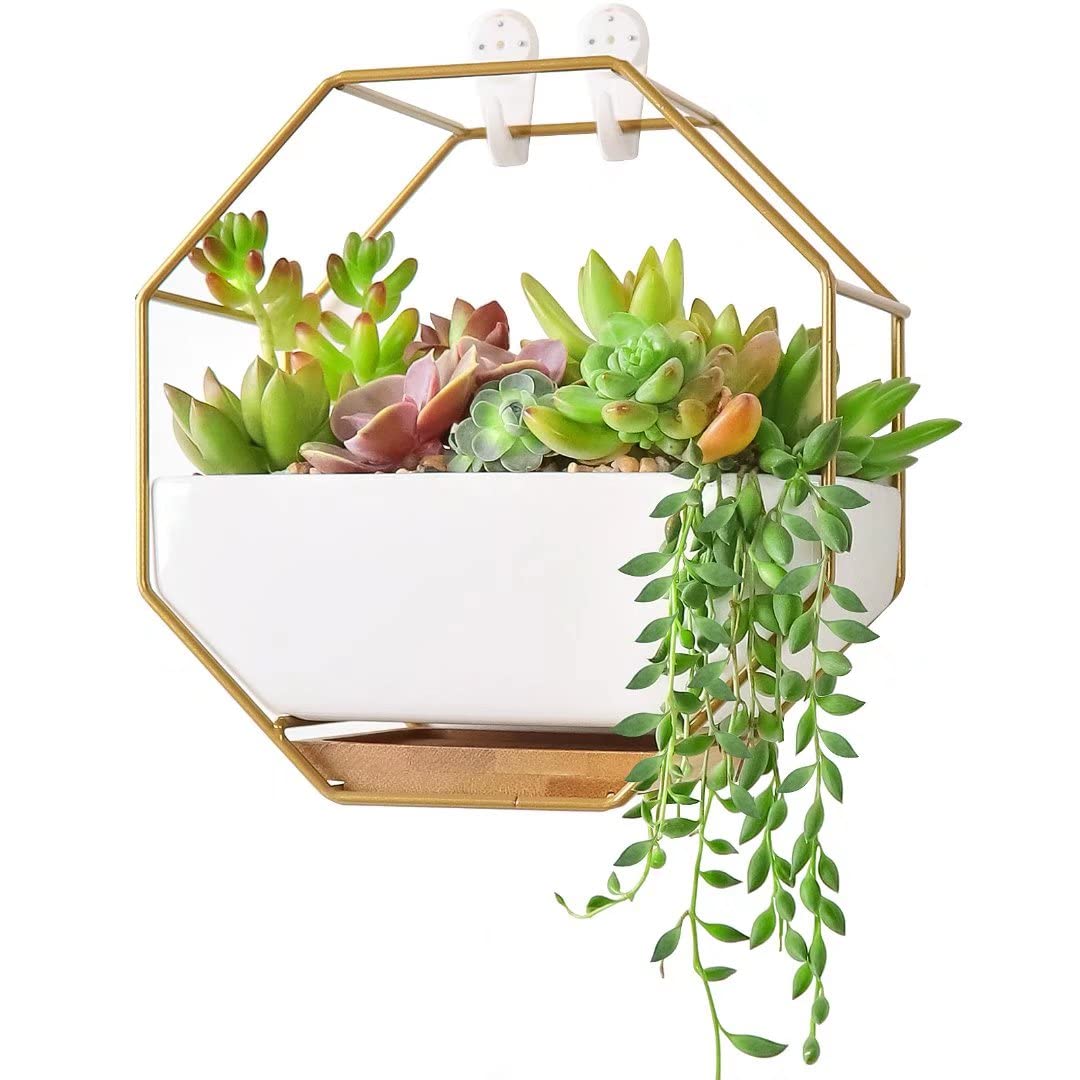 Ivolador Modern Wall Planter, Metal Wire Octagon Design Wall-Mounted Shelves with Ceramic Flower Pot, Air Plant Container Hanging Vase Desktop Succulents Planter-Golden