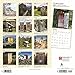 Outhouses 2020 12 x 12 Inch Monthly Square Wall Calendar, Toilette Latrine Bog Humor