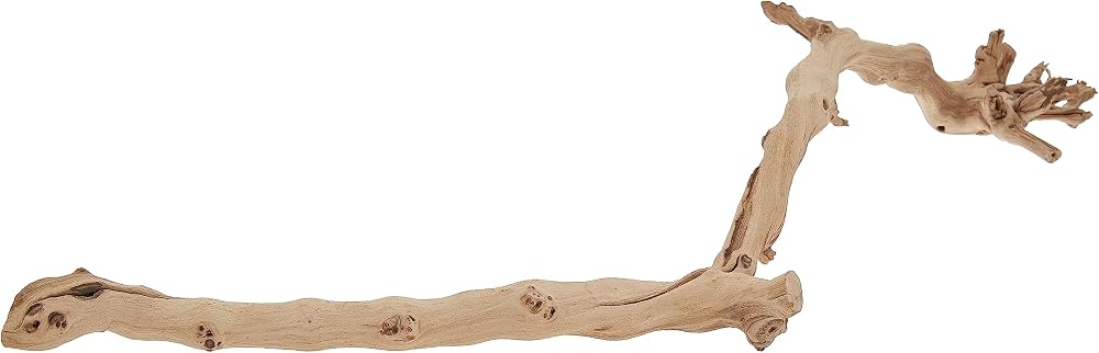 Exo Terra Forest Branch Large Natural Heat Treated Terrarium Decor