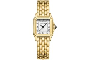 61EU0vMqbFL._AC_UL300_SR300,200_ Why Do Automatic Watches Need a Watch Winder?