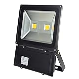 Double Headed LED Floodlight Waterproof 100W 110V