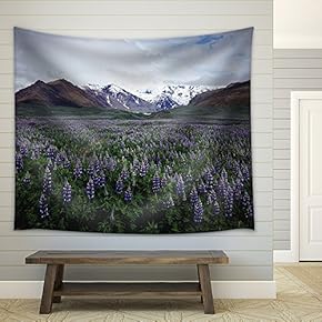 Lavender Field in Open Mouantain Ares - Fabric Wall Tapestry Home Decor - 51x60 inches