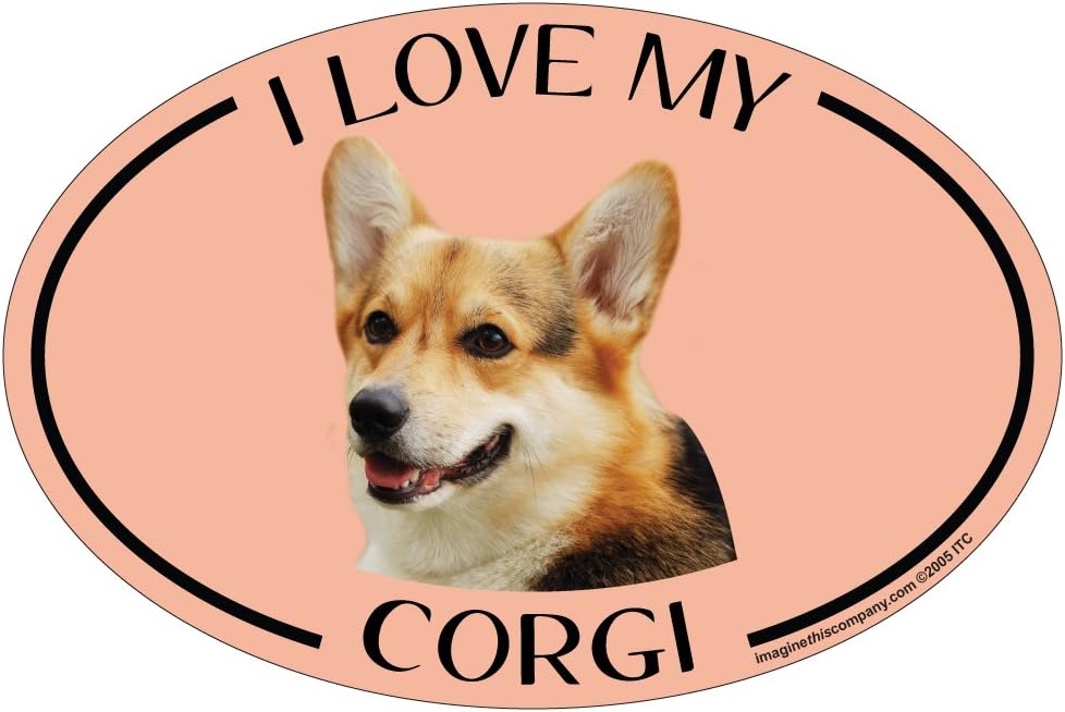 i love my corgi