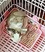 Small Rabbit Litter Box Toilet Box and Guinea Pigs, Chinchilla, Ferret, Galesaur, Small Animals (Beige) (M)