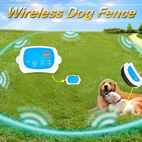 Maxtronic Portable Wireless Dog Fence, NO Wires to BURY-800FT Containment System with Rechargeable Receiver and Transmitter, The 3nd Generation GW-1