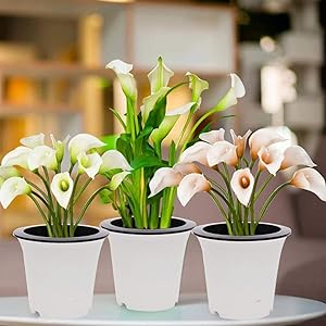 Kurtzy Self Watering Flower Pot for Garden Planters Indoor Outdoor Living Room Bedroom Balcony Table Vase Home Decor Set of 3