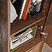 Sauder 421318 Clifford Place Storage Cabinet with File, L: 15.51