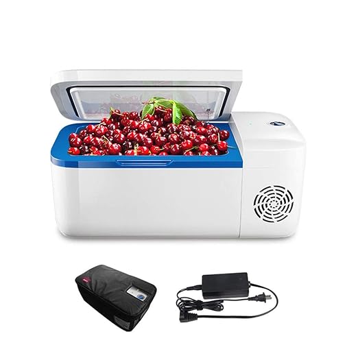 Mini nevera nevera Mini Nevera Enfriador Eléctrico Y El Calentador ...