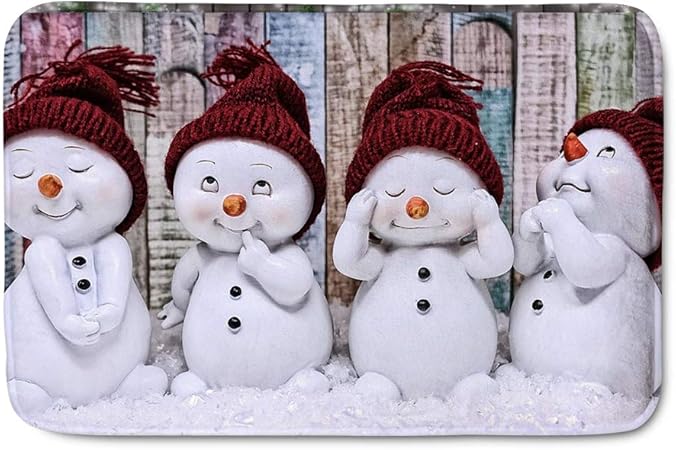 Amazon.com : Amzbeauty Area Rug Non-Slip Fleece Door Mat Funny