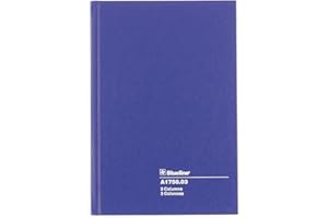 Blueline Account Book, Perfect Binding, 3 Columns with Description, 100 Numbered Pages, 8-1/4-Inch x 5-5/8-Inch, Blue (A1750.