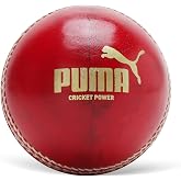 PUMA Leather Session Cricket Ball - Cricket Power, Red