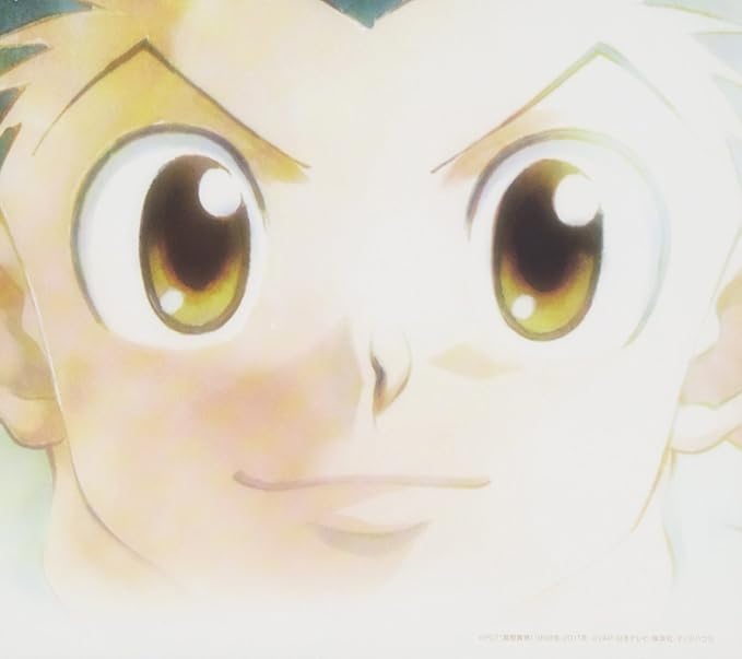 Amazon 日本テレビ系tvアニメ Hunter Hunter セレクト ベスト A 仮