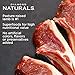 Diamond Naturals Large Breed Puppy Real Lamb Recipe Premium Dry Dog Food, 6 lb