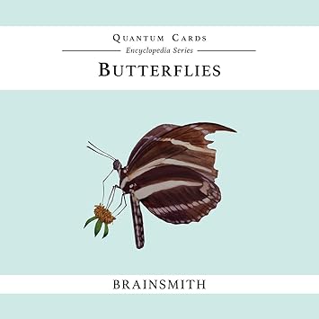 Brainsmith Quantum Flashcards, Butterflies- Learning Flash Card Set for Toddlers and Kids (8 months to 8 years) for Memory and Brain Development