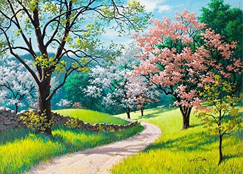 5D Diamond Painting Kits Cross Stitch Set Embroidery Full Drill DIY Art Craft Handmade Resin Mosaic Whole Picture With Pasting Tools Kit Gift for Home Wall Decoration