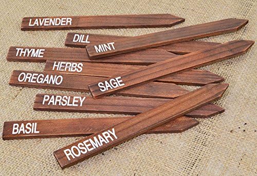 Vanilla Goose Wooden Herb Plant Markers