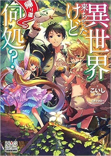 異世界来ちゃったけど帰り道何処 マッグガーデン ノベルズ Amazon Com Books